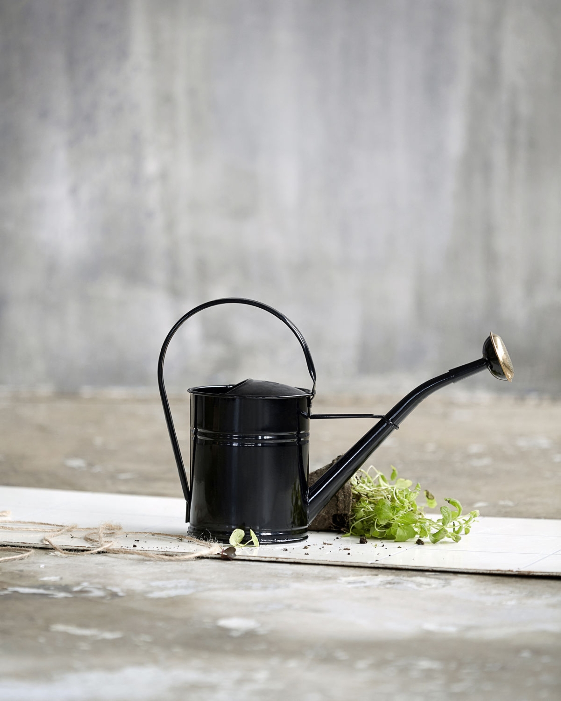 Watering can