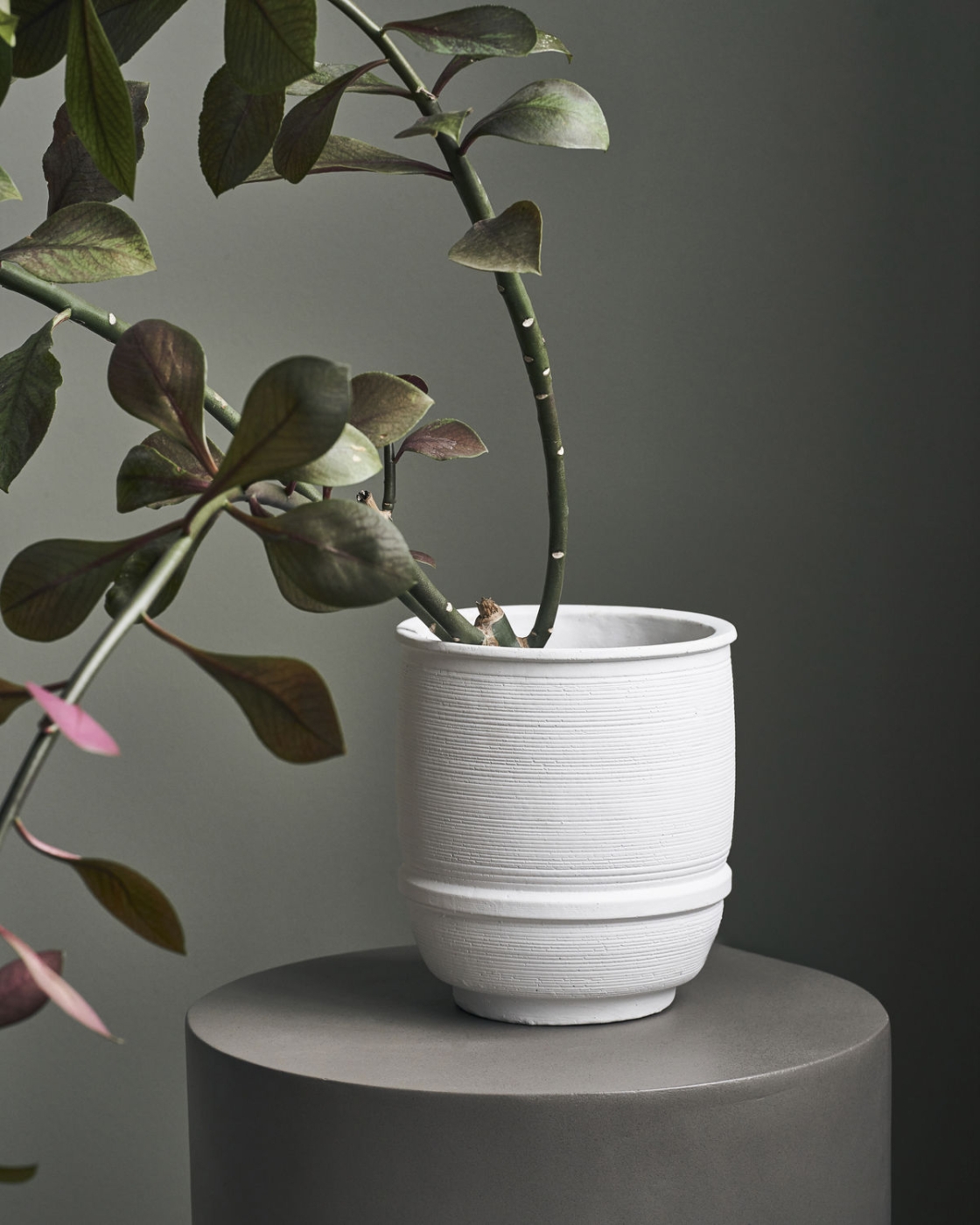 Planter, Ground, Kit