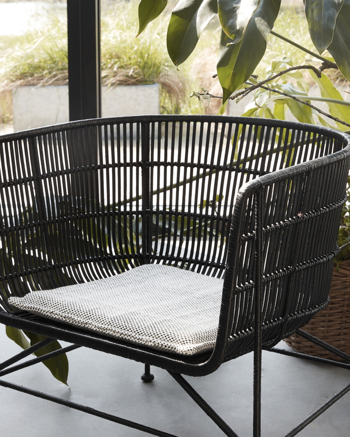 Chair Cuun