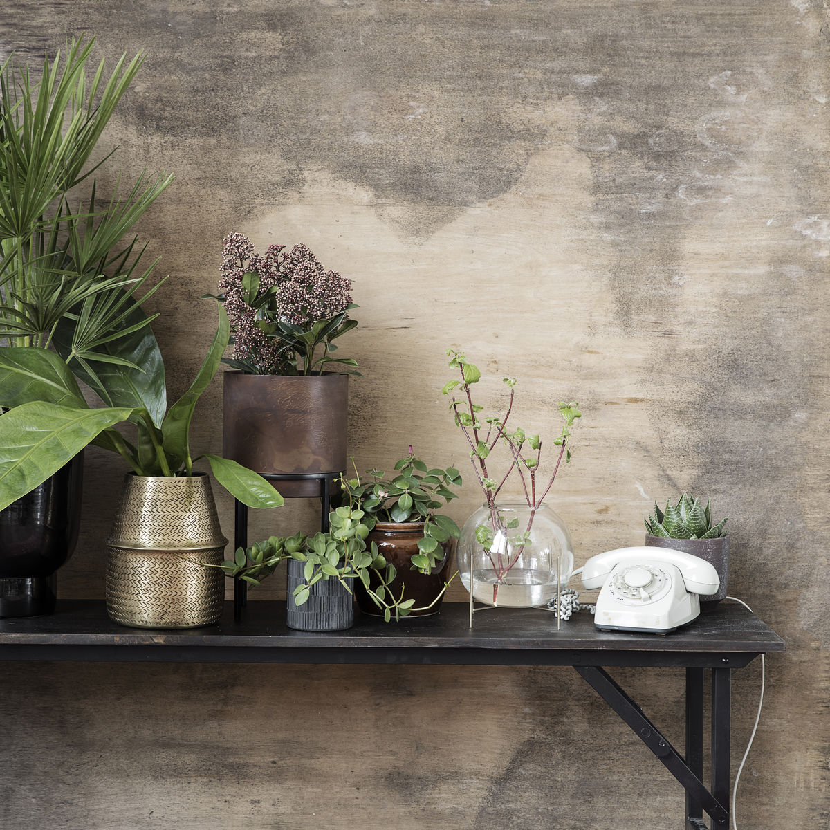 Ada vāze ar statīvu